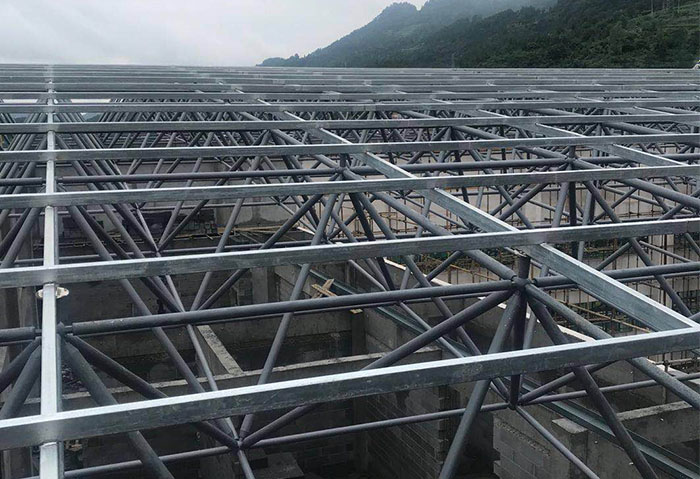 峨眉山学校艺体楼网架
